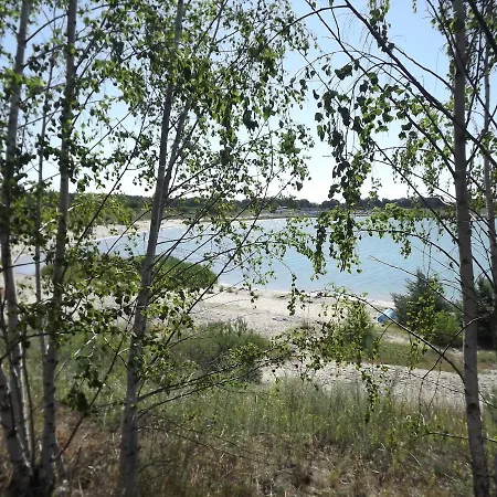 Großzügige Am Waldesrand Im Seenland Lauta