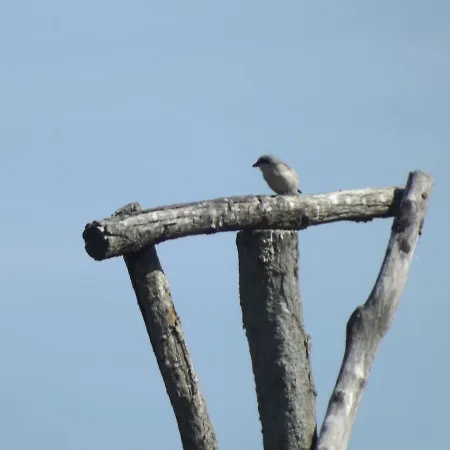 Großzügige Am Waldesrand Im Seenland Apartment *