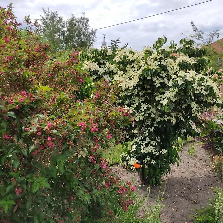 Großzügige Am Waldesrand Im Seenland Apartment *