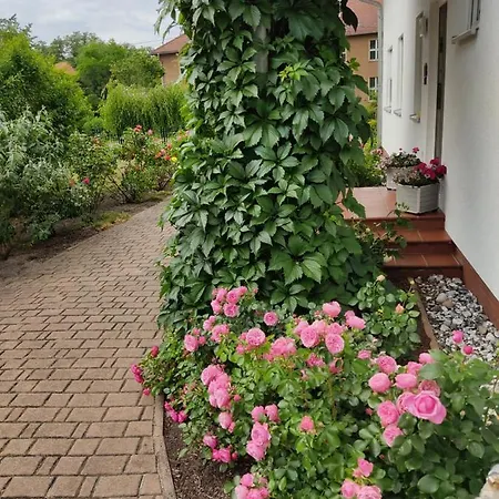 Apartamento Großzügige Am Waldesrand Im Seenland