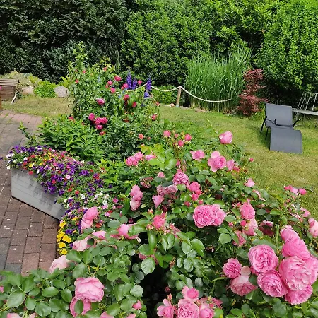 Großzügige Am Waldesrand Im Seenland Apartment