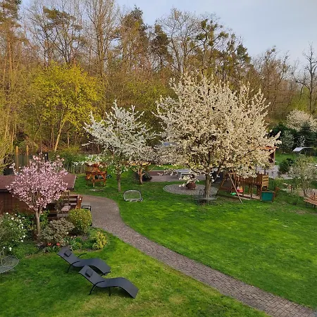 Großzügige Am Waldesrand Im Seenland Apartment Lauta