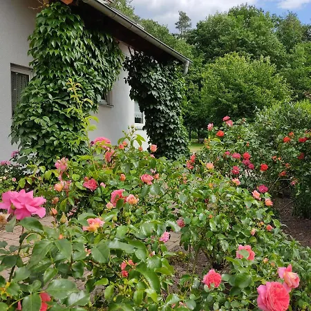 Apartamento Großzügige Am Waldesrand Im Seenland *