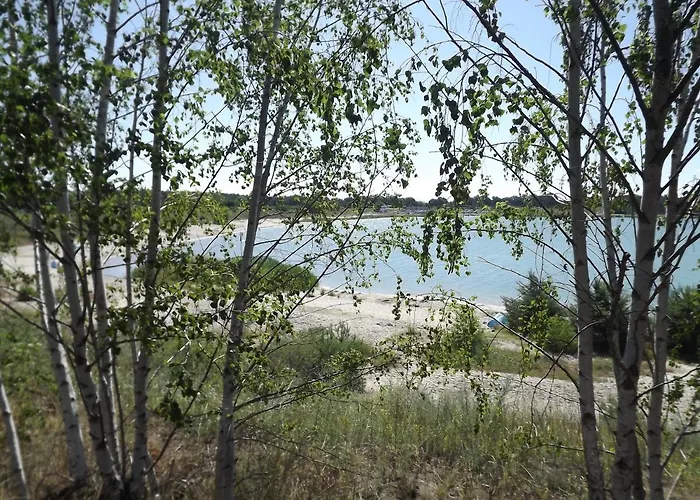 Grosszuegige Am Waldesrand Im Seenland Lauta