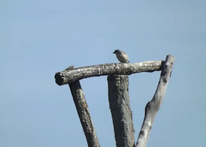 Grosszuegige Am Waldesrand Im Seenland Apartment *